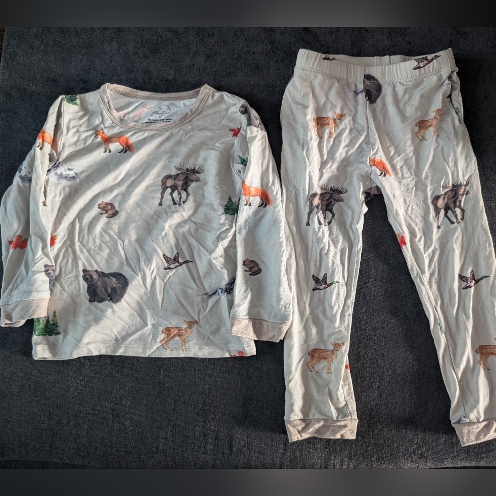 🟣2/$40🟣 Bare Apparel True North Bamboo Set